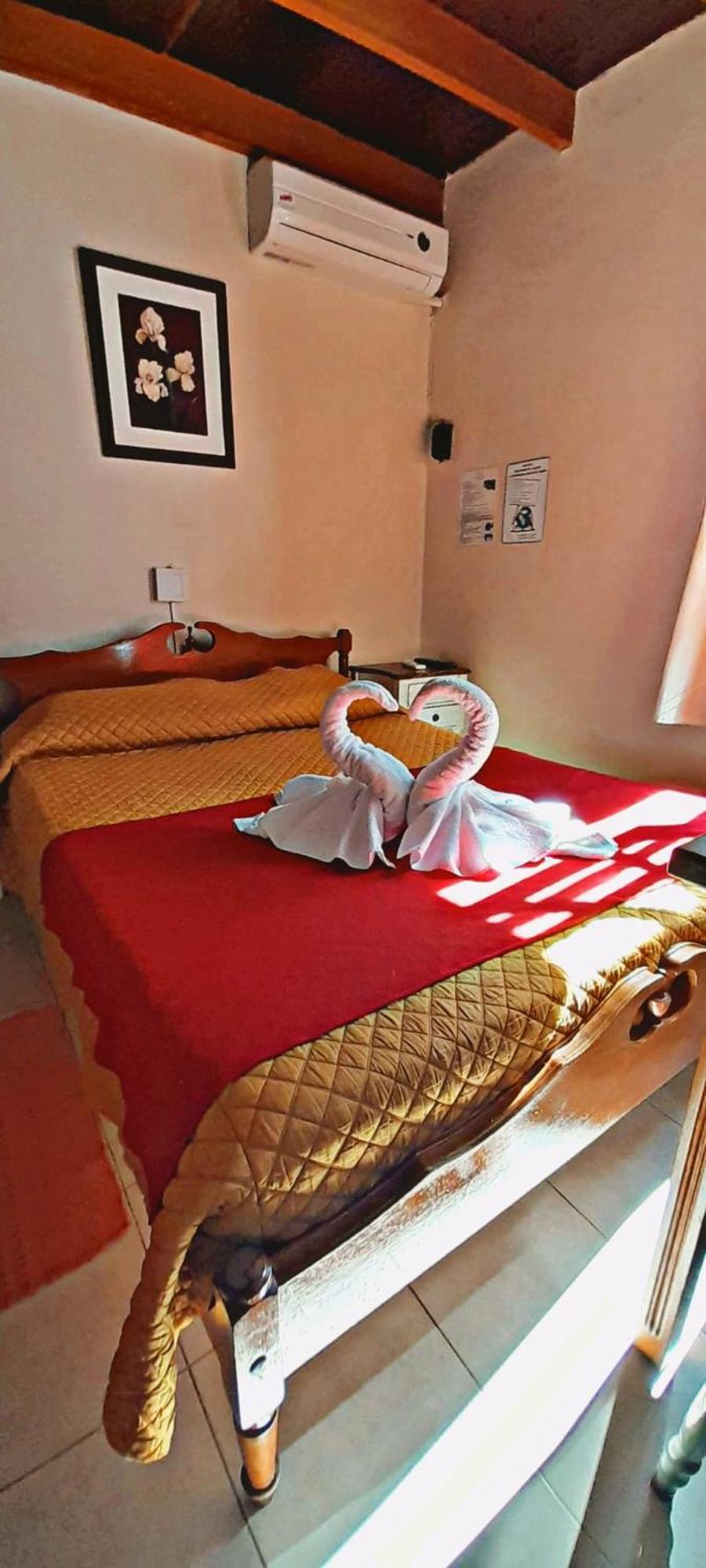 Apart Hotel Geminis Termas del Daymán Eksteriør billede